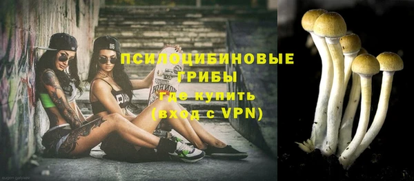 таблы Инсар